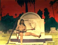 Coyote in a Graveyard