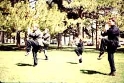 Tai Chi Youth and Shaolin Chi Mantis class